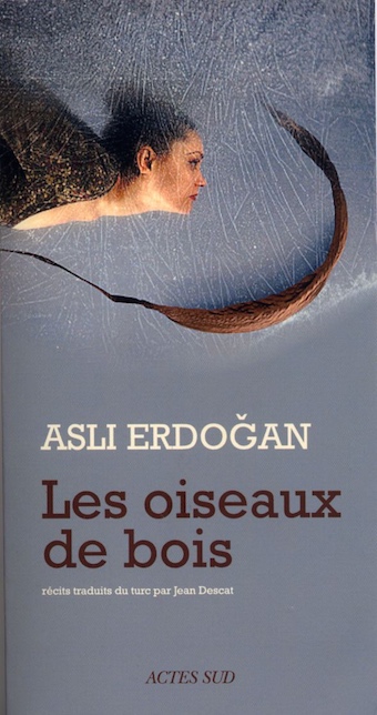 Les oiseaux de bois